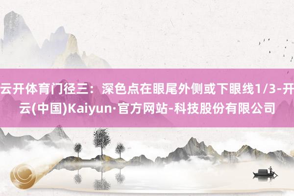 云开体育门径三：深色点在眼尾外侧或下眼线1/3-开云(中国)Kaiyun·官方网站-科技股份有限公司