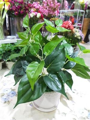 福州市台江区心安花艺店 专业提供高仿真工程装饰植物与草墙材料批发