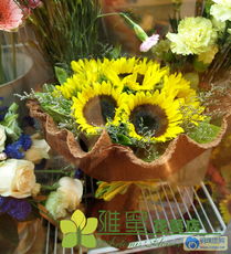 V007团购网景观工程 创新设计与高效施工的完美融合